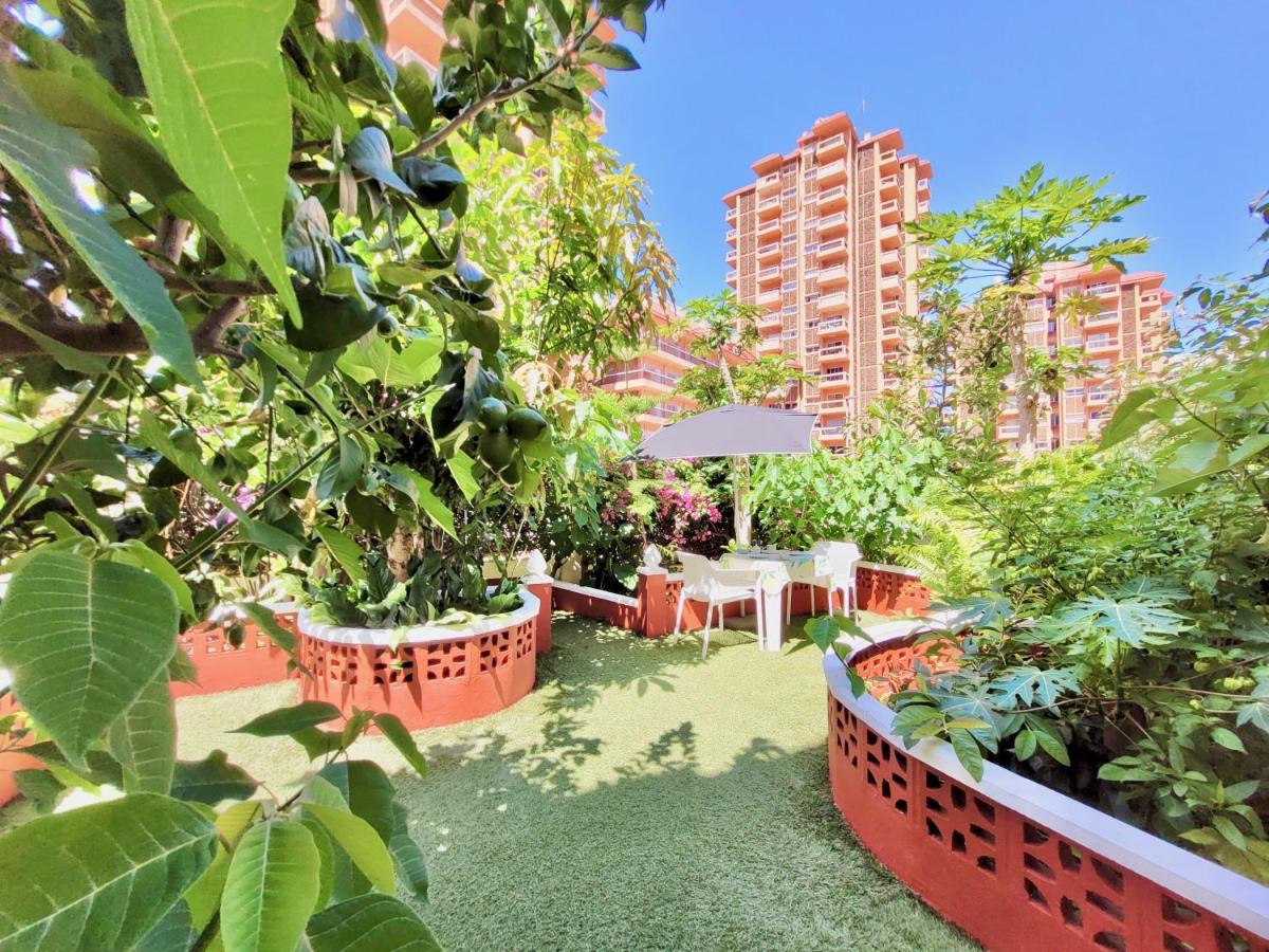 Magnolia House Apartment Puerto de la Cruz  Exterior photo